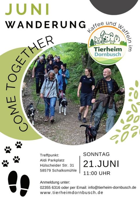 Plakat: Tierheim Dornbusch